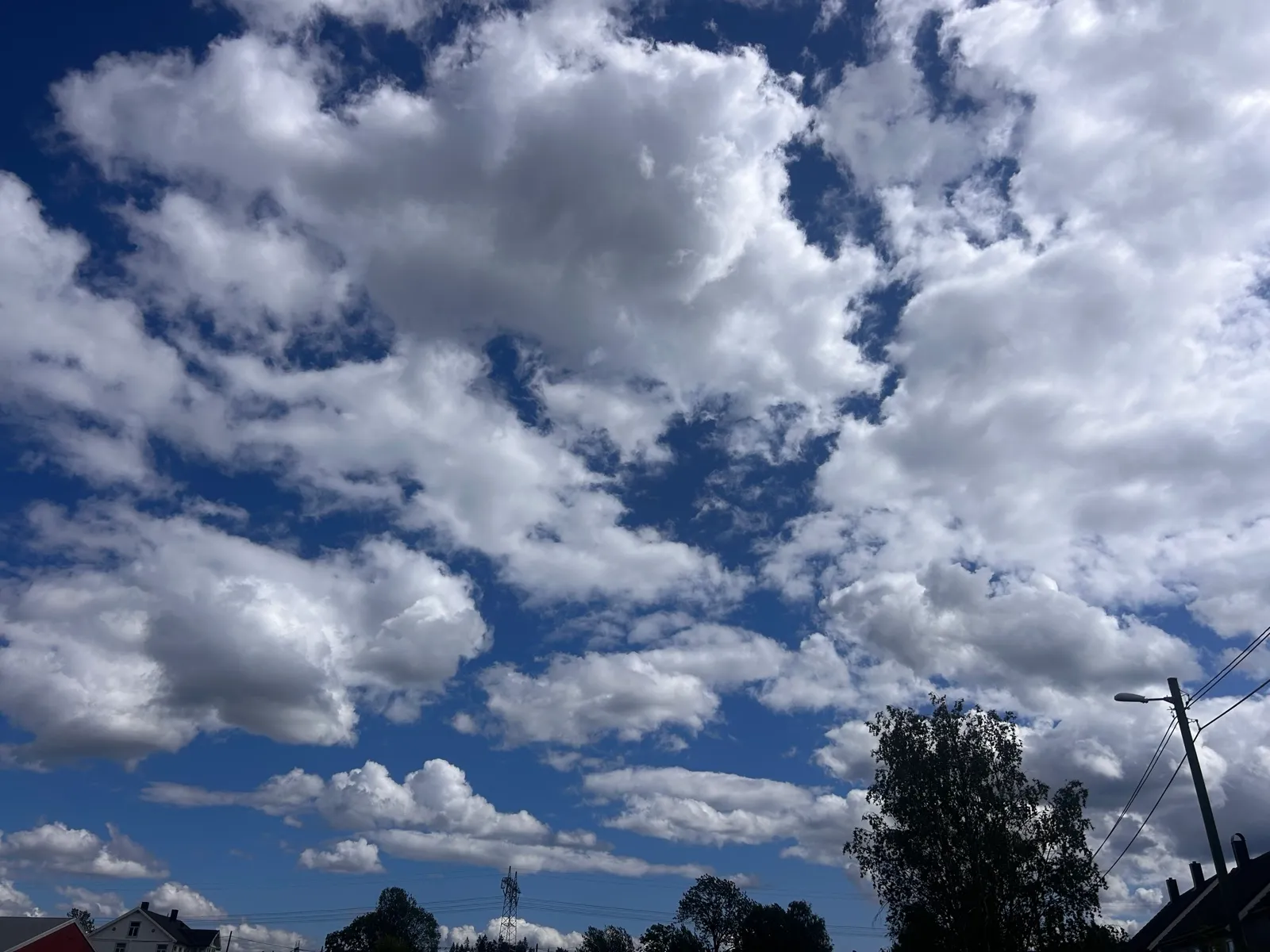 Cumulus clouds over rooftops and a birch tree